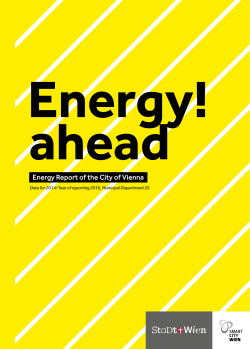 the Energy Report