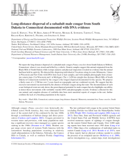 Long-distance dispersal of a subadult male cougar from South