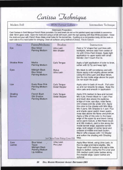 Area Paints/Mediums Brushes Instruction