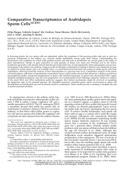 Comparative Transcriptomics of Arabidopsis Sperm Cells1[C][W]