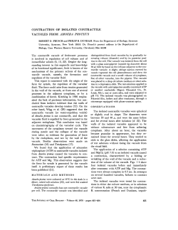 contraction of the isolated contractile vacuole