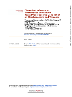 Discordant Influence of Blastomyces dermatitidis Yeast