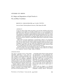 STUDIES ON SEEDS II. Origin and Degradation of