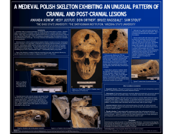 a medieval polish skeleton exhibiting an unusual pattern of cranial