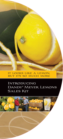 Introducing Dandy&reg; Meyer Lemons Sales Kit