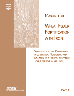 wheat flour fortification with iron