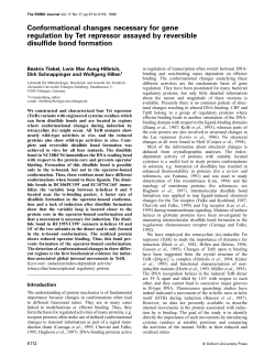 Conformational changes necessary for gene regulation by Tet