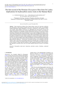 The first record of the Permian Glossopteris flora from Sri Lanka