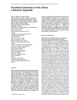 Functional Genomics of the Cilium, a Sensory