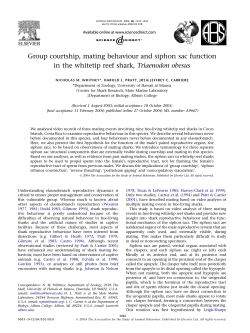 Group courtship, mating behaviour and siphon sac function in the