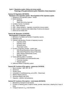 Cycle 4:
