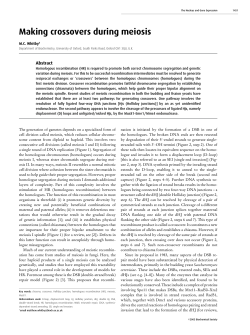 Making crossovers during meiosis - Biochemical Society Transactions