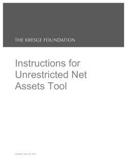 Instructions for Unrestricted Net Assets Tool