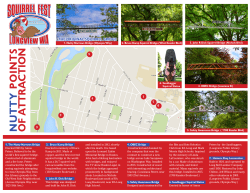 of a ttra ction nutt y point s