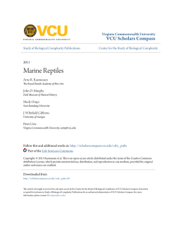 Marine Reptiles - VCU Scholars Compass
