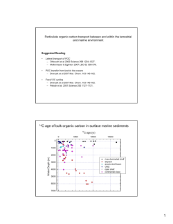 14C age of bulk organic carbon in surface marine sediments