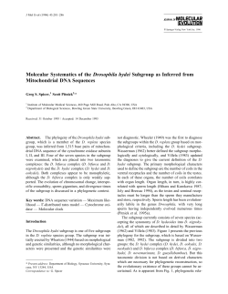 Molecular Systematics of the Drosophila hydei Subgroup as Inferred