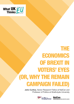 The Economics of Brexit in Voters` Eyes (or, Why
