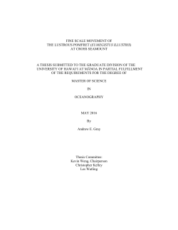 FINE SCALE MOVEMENT OF THE LUSTROUS POMFRET