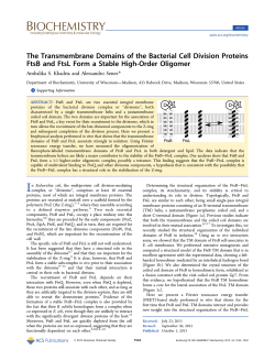 The Transmembrane Domains of the Bacterial Cell Division Proteins