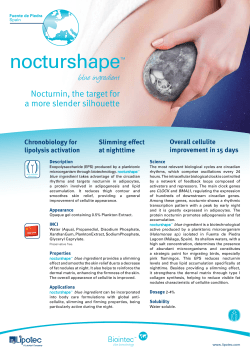 nocturshape - SCS Formulate 2017