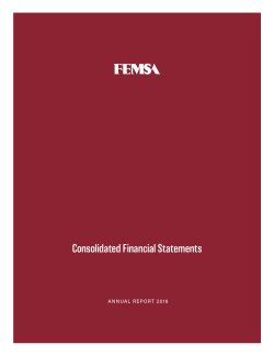 Consolidated Financial Statements