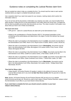N461 - Guidance notes on completing the Judicial Review claim form