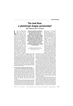 The land flora: a phototroph&ndash;fungus partnership?