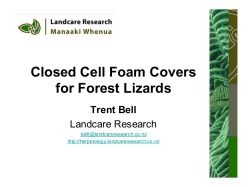 Closed Cell Foam Covers for Forest Lizards