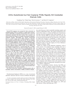 Ortho-Substituted but Not Coplanar PCBs Rapidly Kill Cerebellar