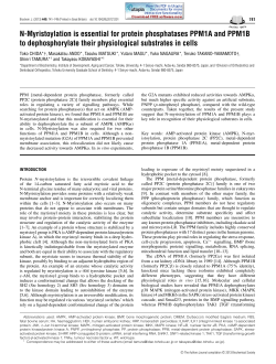 N-Myristoylation is essential for protein phosphatases PPM1A and