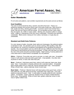 American Ferret Assoc, Inc.