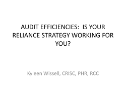 AUDIT EFFICIENCIES: IS YOUR RELIANCE STRATEGY WORKING