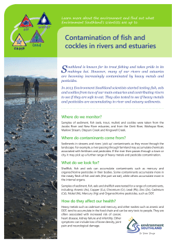 Contamination of fish and cockles in rivers and estuaries