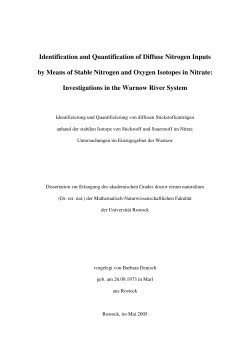 Identification and Quantification of Diffuse Nitrogen - Leibniz