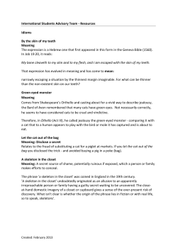 International Students Advisory Team