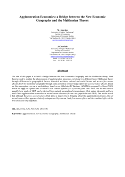 Agglomeration Economies: a Bridge between the New Economic