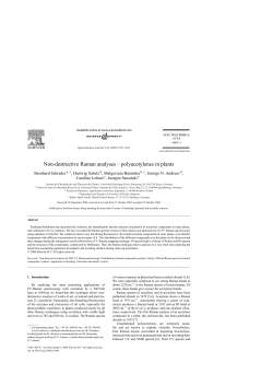 Non-destructive Raman analyses &ndash; polyacetylenes in plants
