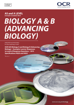 Exemplar learner responses to level of response questions