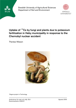Uptake of 137Cs by fungi and plants due to potassium fertilization in