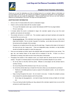 Lost Dog and Cat Rescue Foundation (LDCRF)