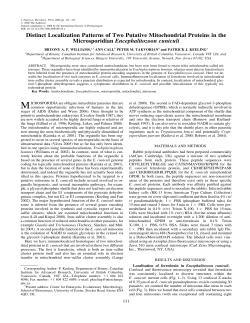 Distinct Localization Patterns of Two Putative