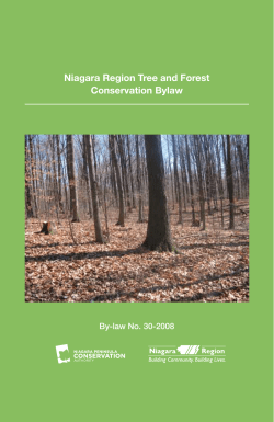 Niagara Region Tree And Forest Conservation Bylaw