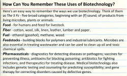 How Can You Remember These Uses of Biotechnology?