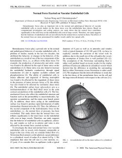 Normal Force Exerted on Vascular Endothelial Cells