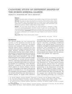 CADAVERIC STUDY OF DIFFERENT SHAPES OF