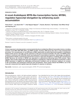 A novel Arabidopsis MYB-like transcription factor, MYBH, regulates