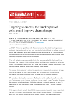 Targeting telomeres, the timekeepers of cells, could improve