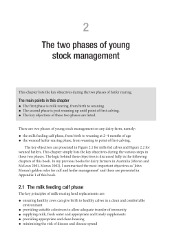 The two phases of young stock management