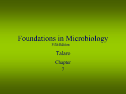 Chapter 7